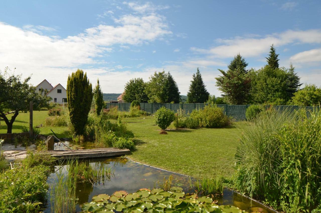 Gîte Cigogne Odratzheim Extérieur photo